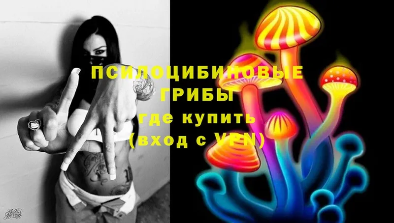 mega вход  Гурьевск  Псилоцибиновые грибы Cubensis 